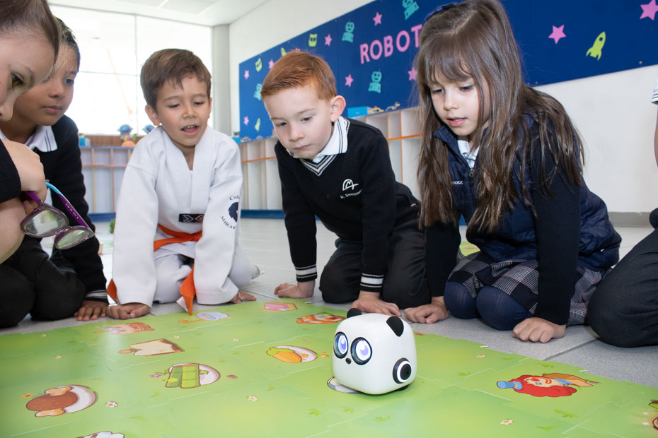 Ir a la Siguiente Foto