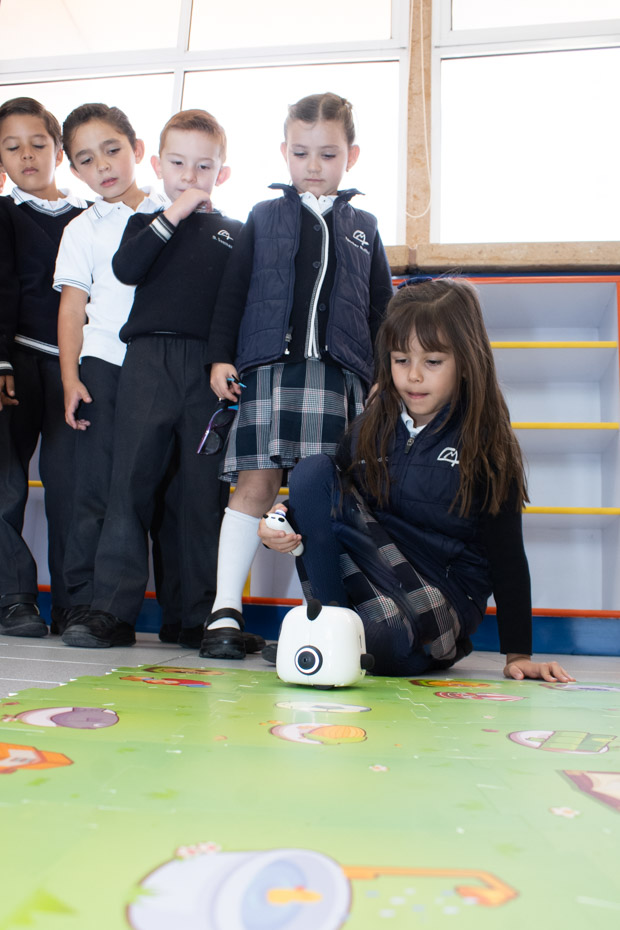 Ir a la Siguiente Foto