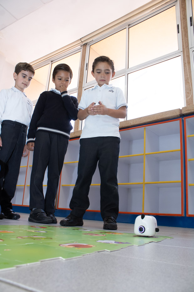 Ir a la Siguiente Foto