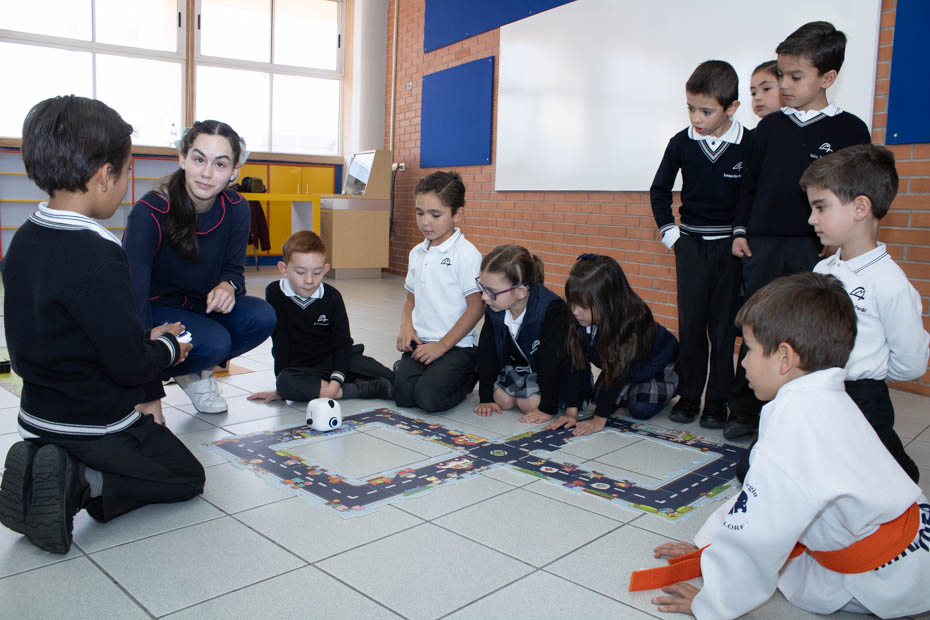 Ir a la Siguiente Foto