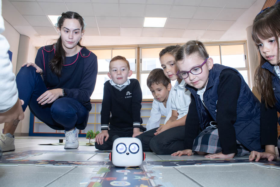 Ir a la Siguiente Foto