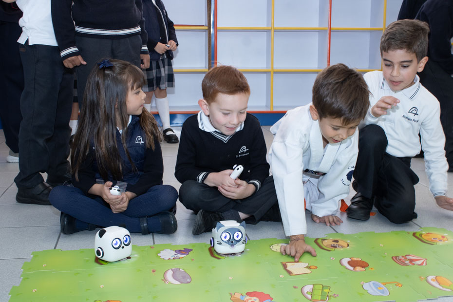 Ir a la Siguiente Foto