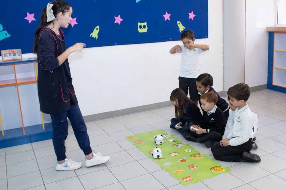 Ir a la Siguiente Foto