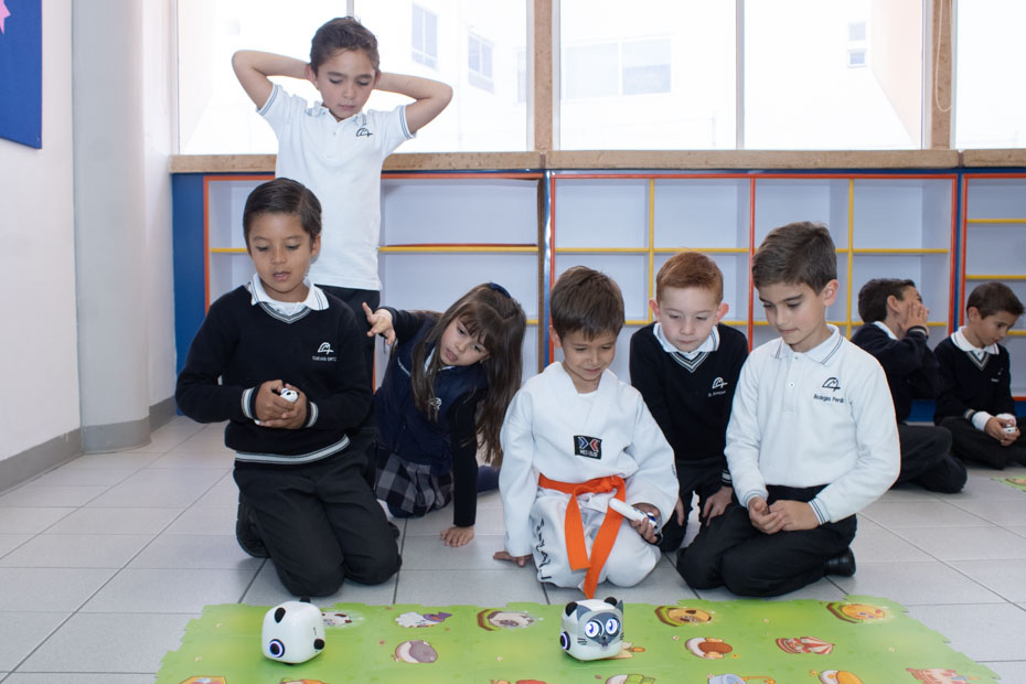 Ir a la Siguiente Foto