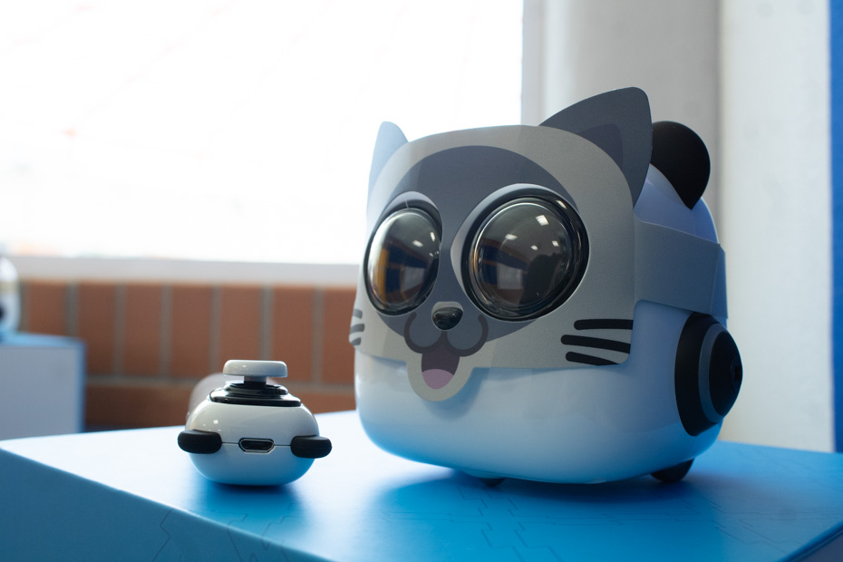 Ir a la Siguiente Foto