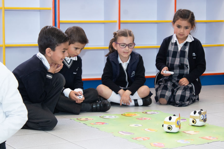 Ir a la Siguiente Foto