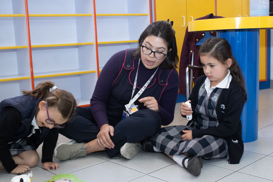 Ir a la Siguiente Foto