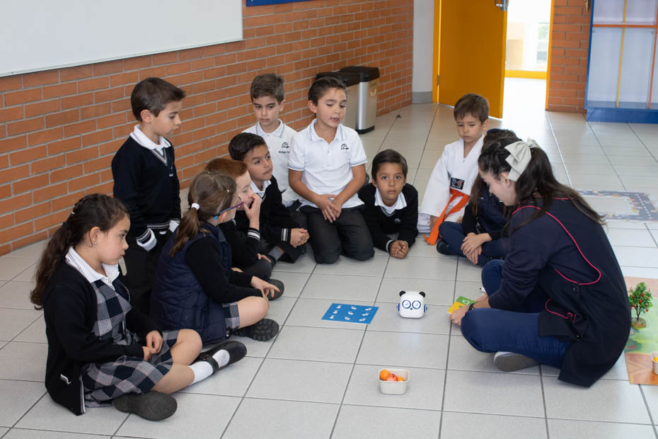 Ir a la Siguiente Foto