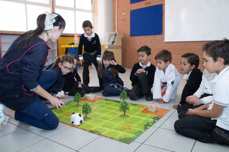 Ir a la Siguiente Foto