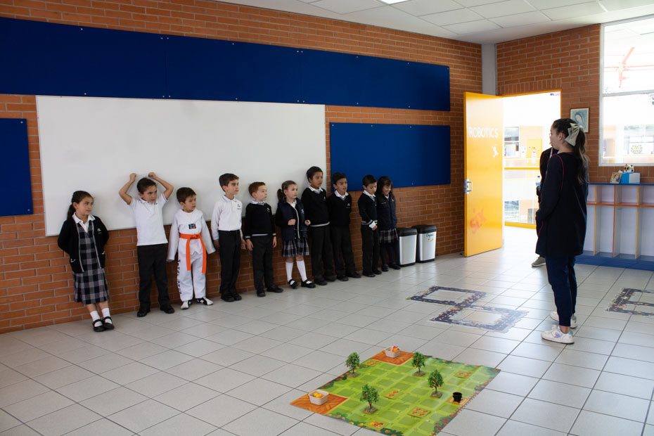 Ir a la Siguiente Foto