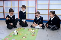 291020241ra_clase_robotica_preescolar202461.jpg