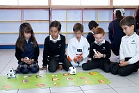 291020241ra_clase_robotica_preescolar202464.jpg