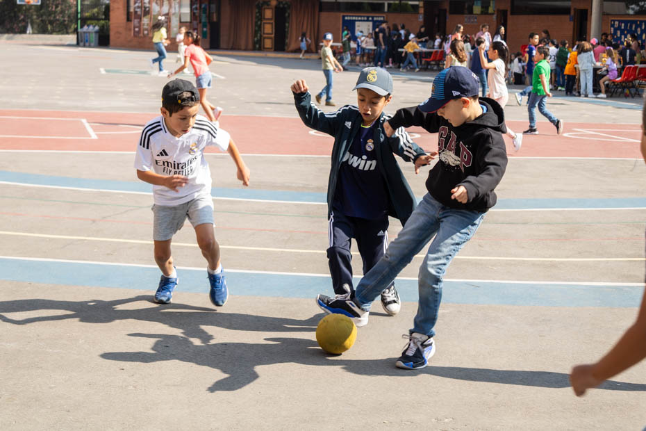 Ir a la Siguiente Foto