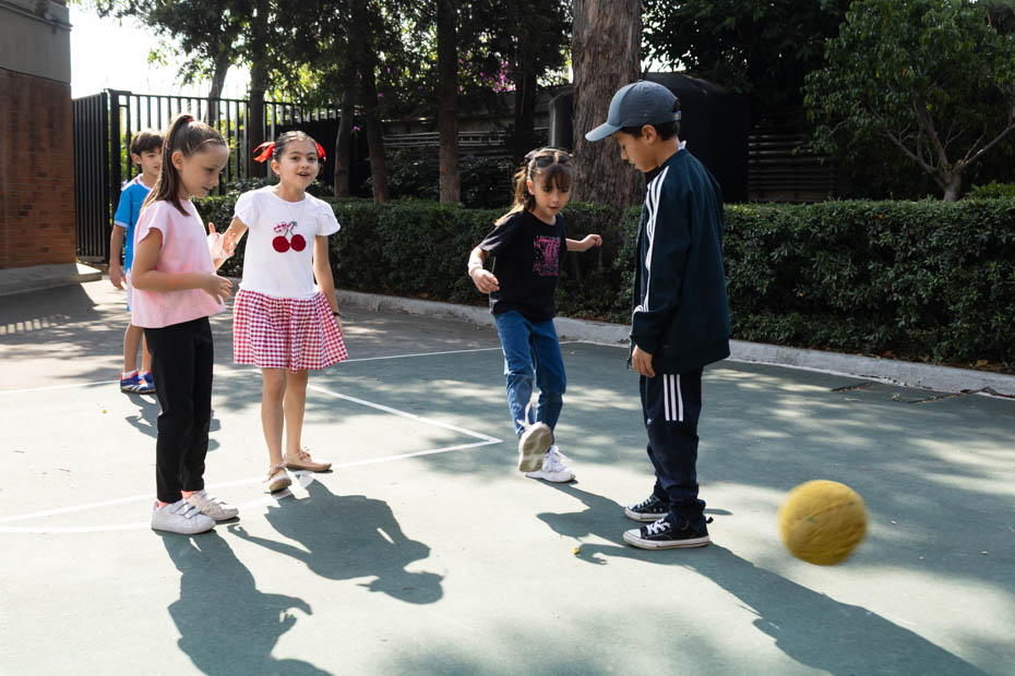 Ir a la Siguiente Foto