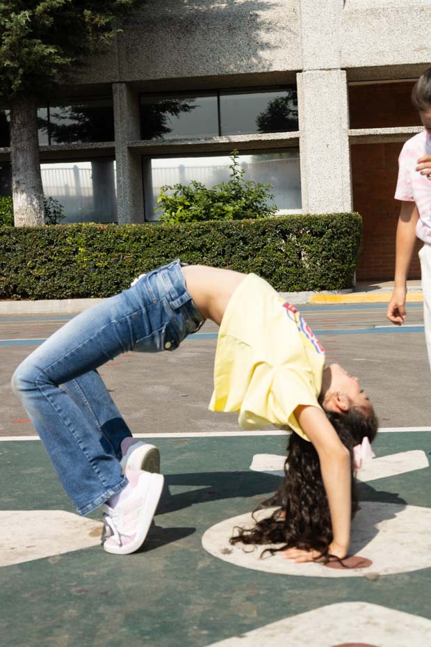 Ir a la Siguiente Foto