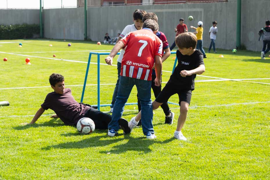 Ir a la Siguiente Foto