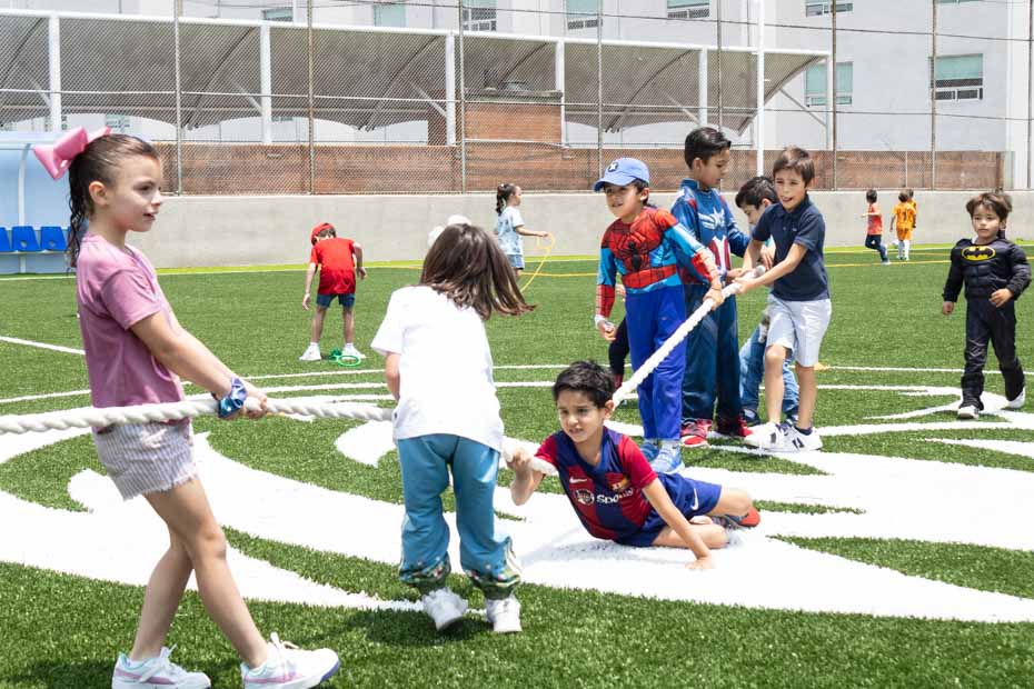 Ir a la Siguiente Foto