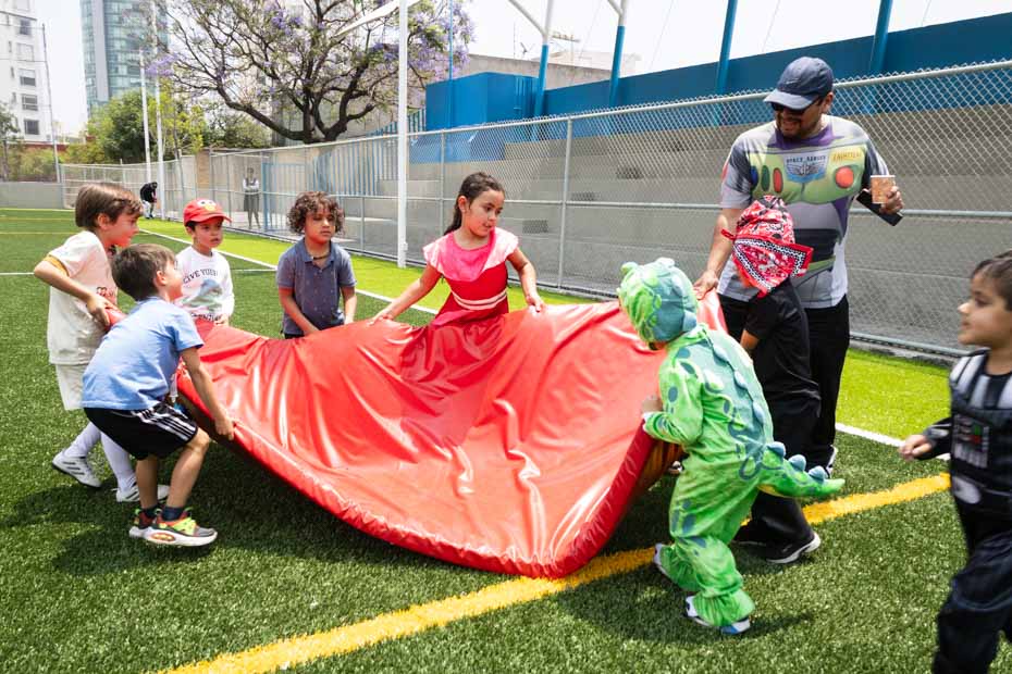 Ir a la Siguiente Foto