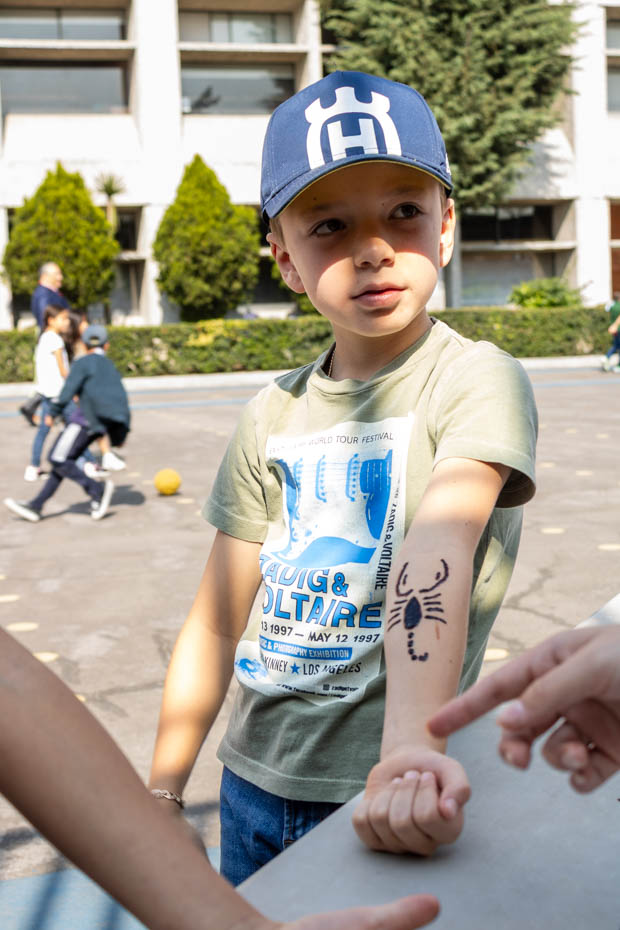 Ir a la Siguiente Foto