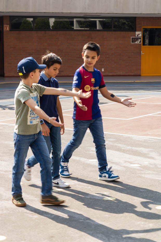 Ir a la Siguiente Foto