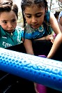 3004202530abril2025268.jpg
