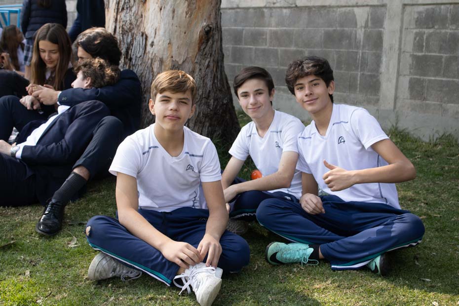 Ir a la Siguiente Foto