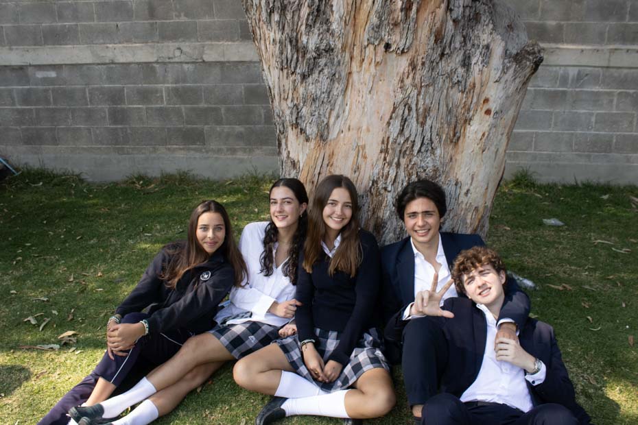 Ir a la Siguiente Foto