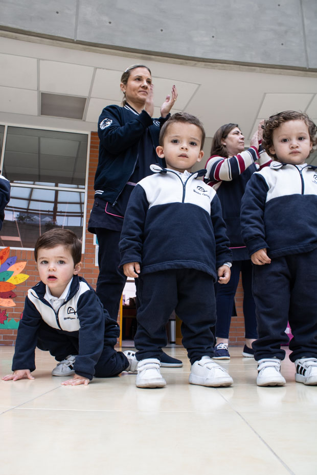 Ir a la Siguiente Foto