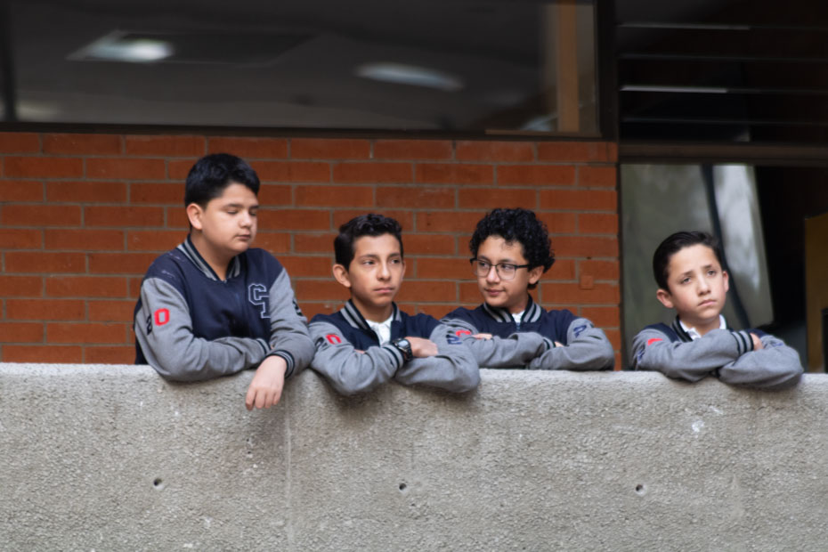 Ir a la Siguiente Foto