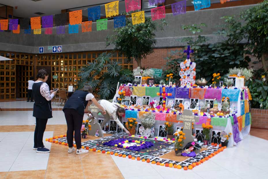 Ir a la Siguiente Foto