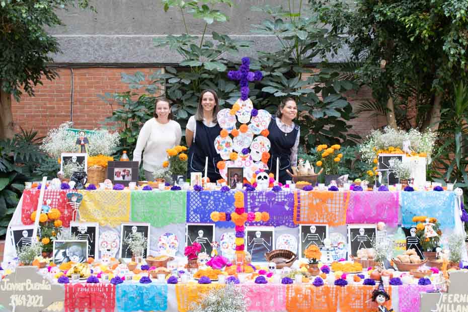 Ir a la Siguiente Foto