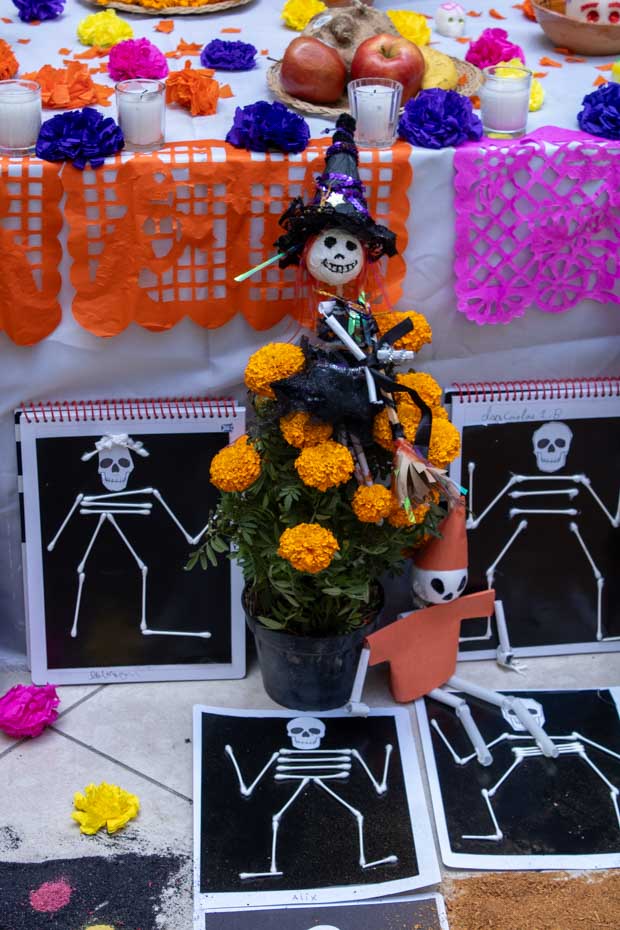 Ir a la Siguiente Foto