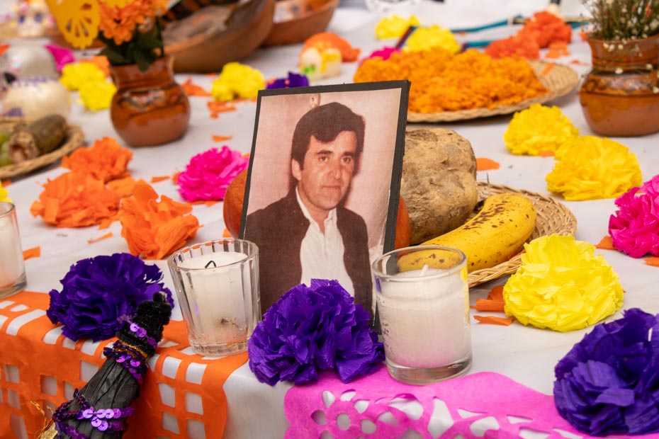 Ir a la Siguiente Foto