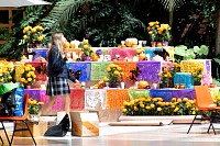 28102024altar_muertos20248.jpg