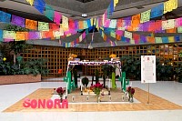 29102024altar_muertos202421.jpg