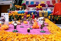29102024altar_muertos202435.jpg