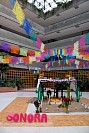 31102024altar_muertos202472.jpg