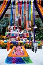 31102024altar_muertos202484.jpg