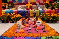 31102024altar_muertos202485.jpg