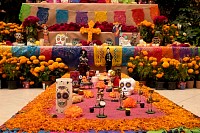 31102024altar_muertos202487.jpg