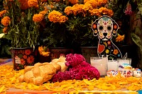 31102024altar_muertos202491.jpg