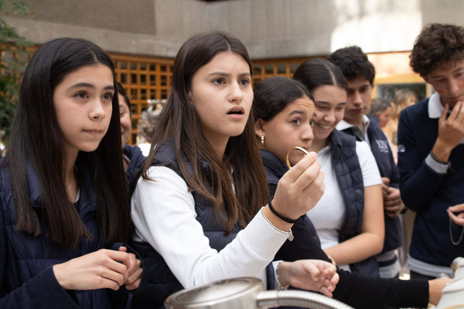 Ir a la Siguiente Foto