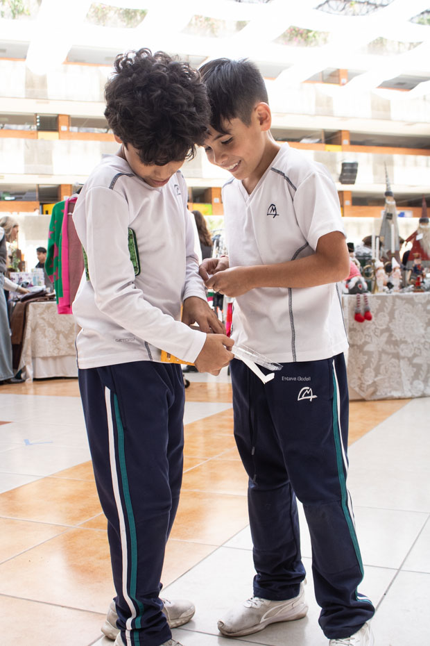 Ir a la Siguiente Foto