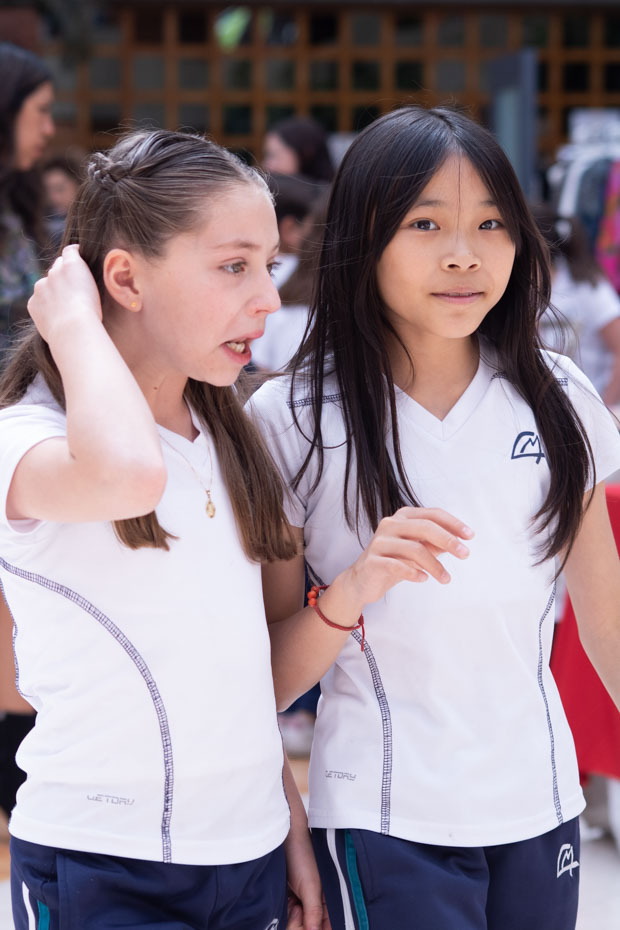 Ir a la Siguiente Foto