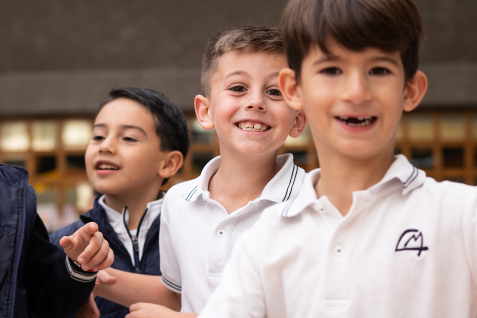 Ir a la Siguiente Foto