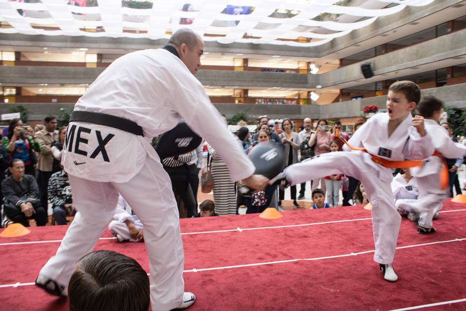 Ir a la Siguiente Foto