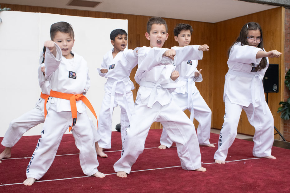 Ir a la Siguiente Foto