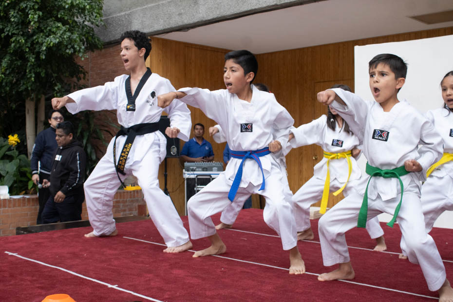 Ir a la Siguiente Foto