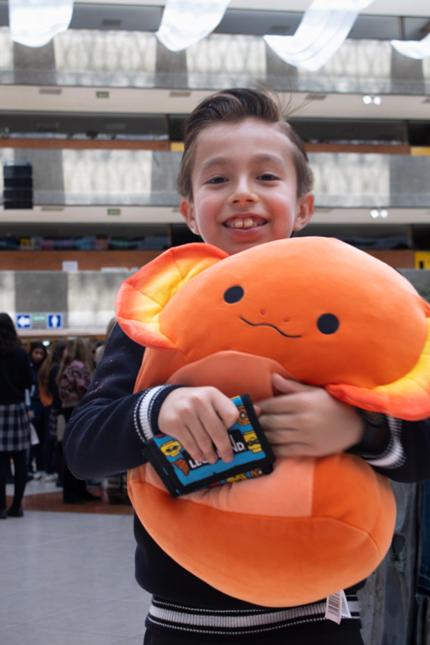 Ir a la Siguiente Foto