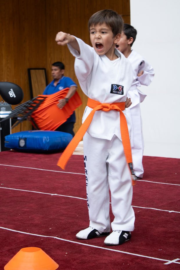 Ir a la Siguiente Foto